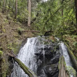 Commenter la photo 1