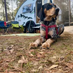 Recensisci la foto 1