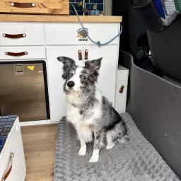 Foto de la valoración 1