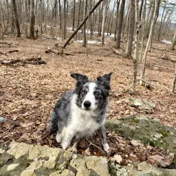 Foto de la valoración 3