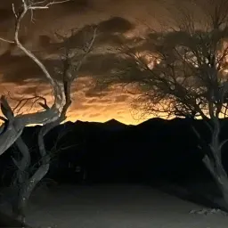 Commenter la photo 4