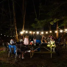 Commenter la photo 3