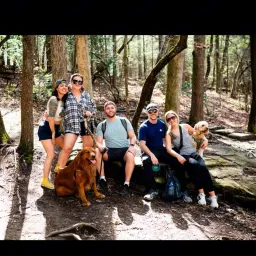 Commenter la photo 4