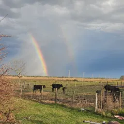 Commenter la photo 6