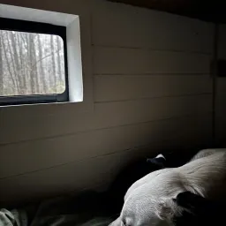 Commenter la photo 2