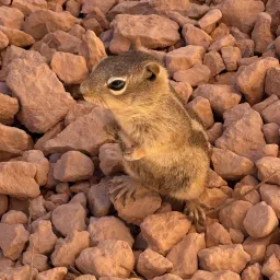 Commenter la photo 6