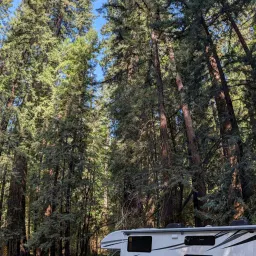 Commenter la photo 1