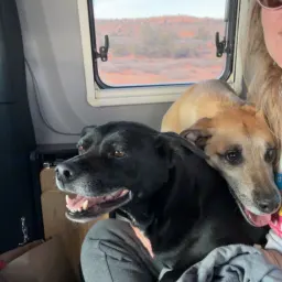 Foto de la valoración 2