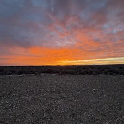 Commenter la photo 1