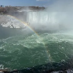 Foto de la valoración 5