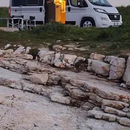 Foto 1 überprüfen