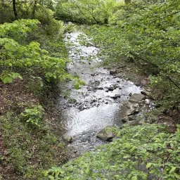 Foto 3 überprüfen