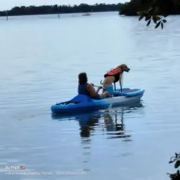 Review photo 2