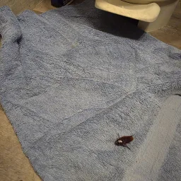Review photo 2