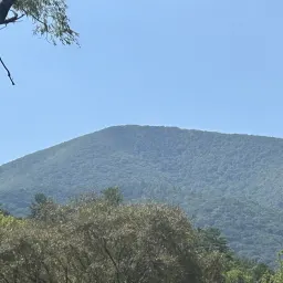 Foto 2 überprüfen