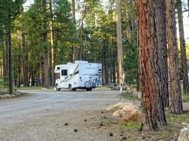 2014 Forest River Coachmen Leprechaun Class C rental in North Vancouver, BC