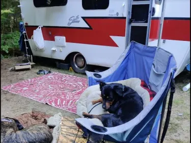 2009 Shasta Airflyte 12 Travel trailer rental in Mississauga, ON