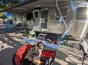 2020 Airstream Flying Cloud Travel trailer rental in Sacramento, CA