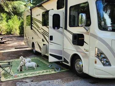 2018 Thor A.C.E. Class A rental in San Diego, CA