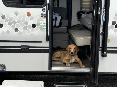 2022 R-Pod R-Pod Trailer Travel trailer rental in Kalispell, MT