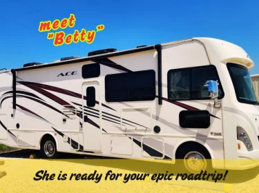 2018 Thor Motor Coach ACE Class A rental in New Braunfels, TX