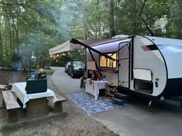 2021 Forest River Wildwood FSX Platinum Travel trailer rental in Swannanoa, NC
