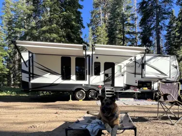 2019 Forest River Wildcat Fifth-wheel rental in Manteca, CA