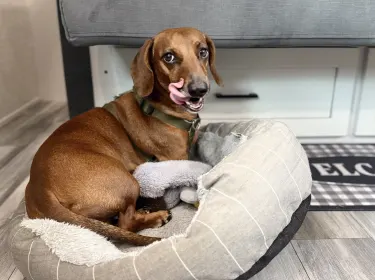 2025 jayco 235MBH Jay Flight TT Travel trailer rental in Winter Park, FL