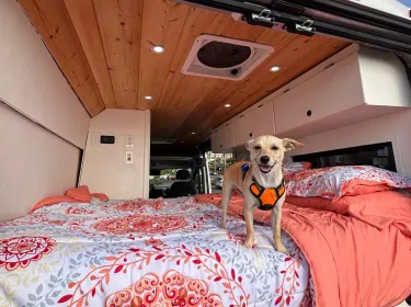 2021 Dodge Ram ProMaster Class B rental in San Diego, CA