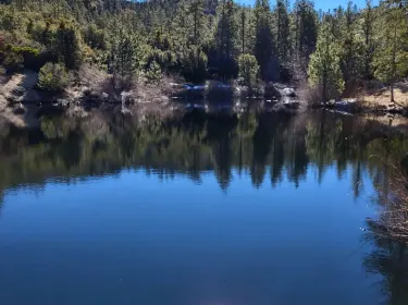 1989 Ford Econoline Camper van rental in Palmdale, CA