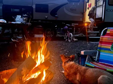 2019 Keystone RV Cougar Travel trailer rental in Huddleston, VA