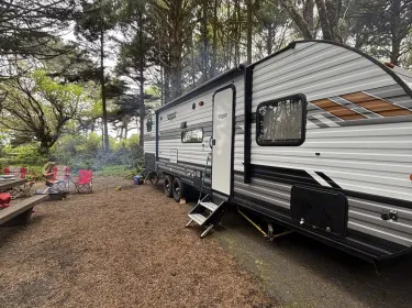 2020 Forest River Wildwood Travel trailer rental in Bremerton, WA