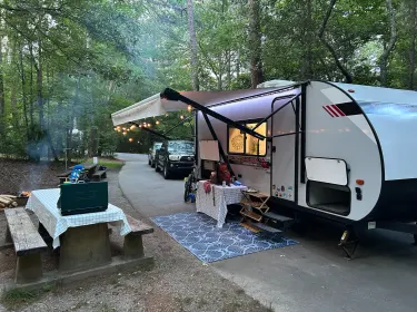 2021 Forest River Wildwood FSX Platinum Travel trailer rental in Swannanoa, NC