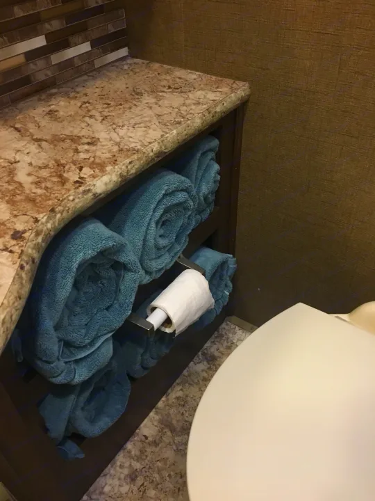 RV rental bathroom: rolled towels, toilet paper on holder, and compact granite counter maximize space.. Other Other 2018