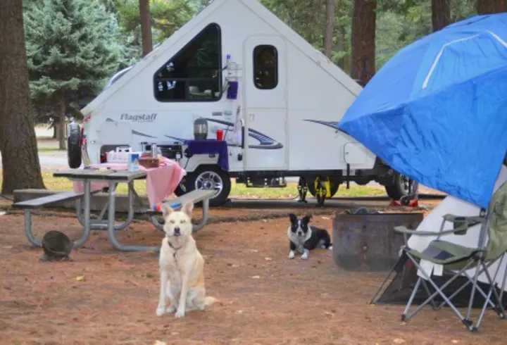 Dogs not included. :-> 

. Forest River Flagstaff Classic 2013