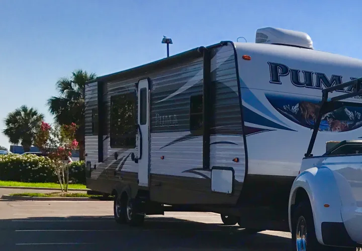Palomino Puma 2016