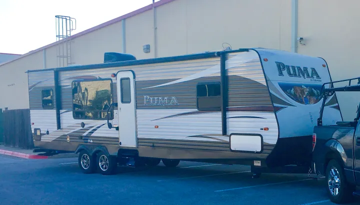 Palomino Puma 2016