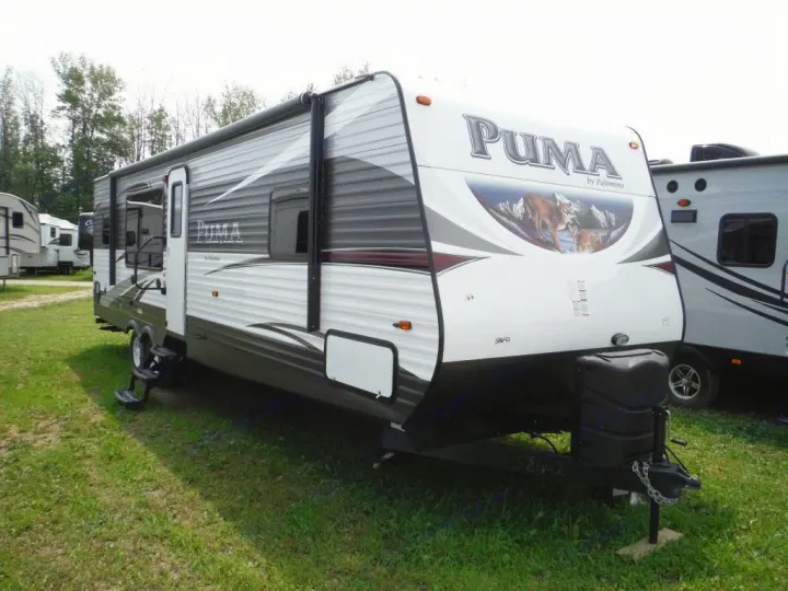 Palomino Puma 2016