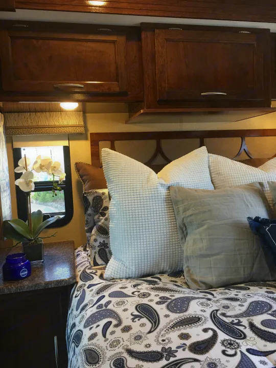 Coachmen Pursuit 2017