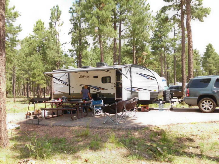 An rv rental is set up at a shaded campground with tall pine trees. A person stands by the trailer, near a picnic table and chairs.. Forest River Salem Cruise Lite 2018