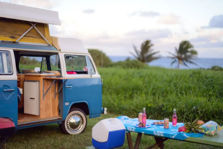 Volkswagen Other 1975