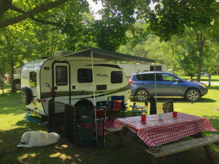 Prolight Rv Plus S 2017