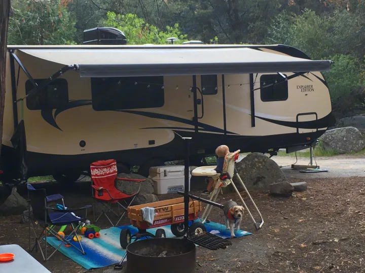 Enjoying an RV rental adventure: family camping with a travel trailer, child in high chair, dog, and campfire area.. Forest River Evo 2017