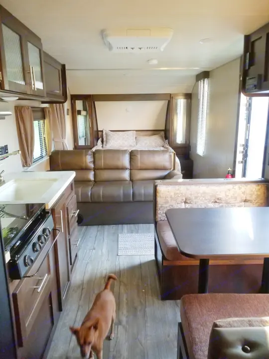 Inside this RV rental, find a modern kitchen, comfortable sofa, dinette, and cozy bedroom. A dog is exploring.. grey wolf bunkhouse 2018