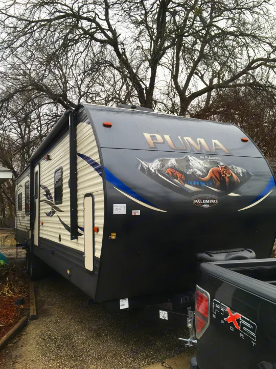 Palomino Puma 2018