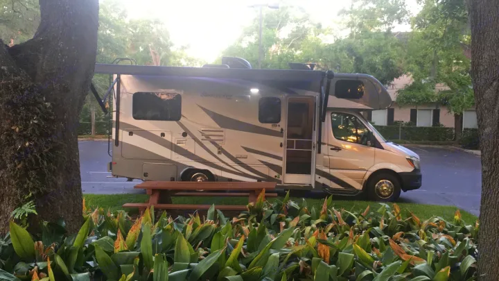 An RV rental is parked at a scenic outdoor campsite with a picnic table, surrounded by lush trees and plants.. ForestRiver Sunseeker 2018
