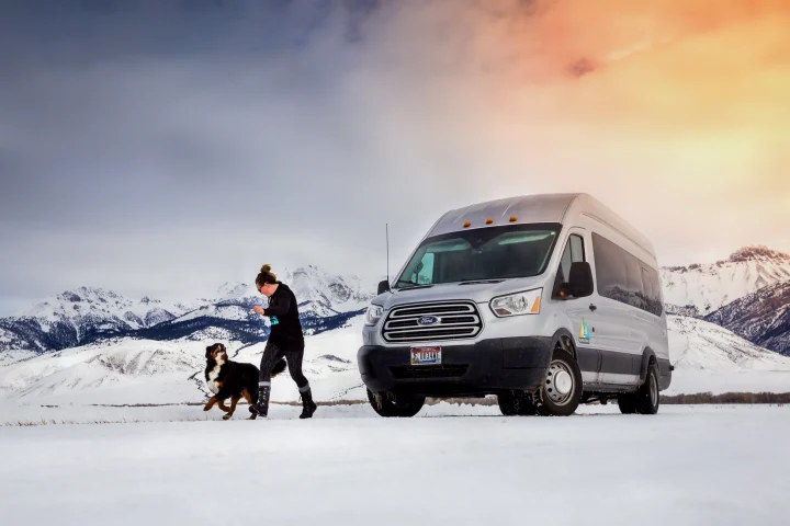 Ford transit 2015