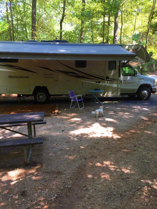 Winnebago Minnie Winnie 2017