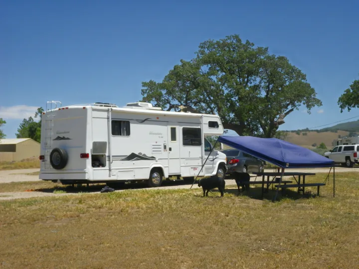 Kustom Koach M-280KC 2003