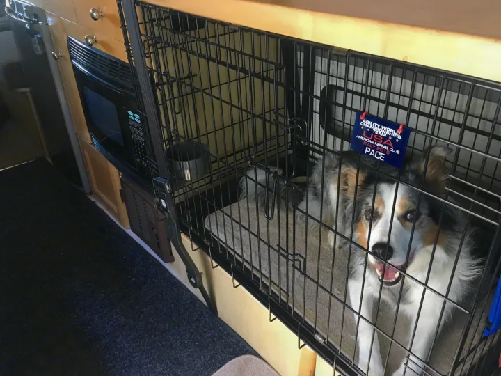 The built in dog crate allows your pup to travel safely and comfortably. Our pups love when we take them on a trip.. Roadtrek Adventurous Rs 2006